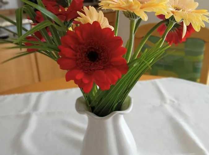 Haus Seerobbe-erdgeschosswohnung